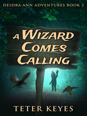 cover image of A Wizard Comes Calling